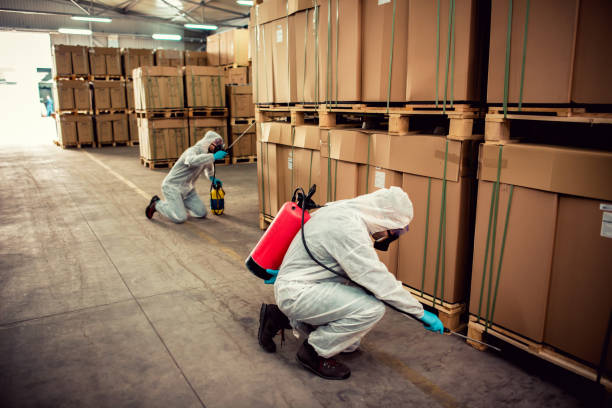 Best Pest Prevention Services  in Port Labelle, FL