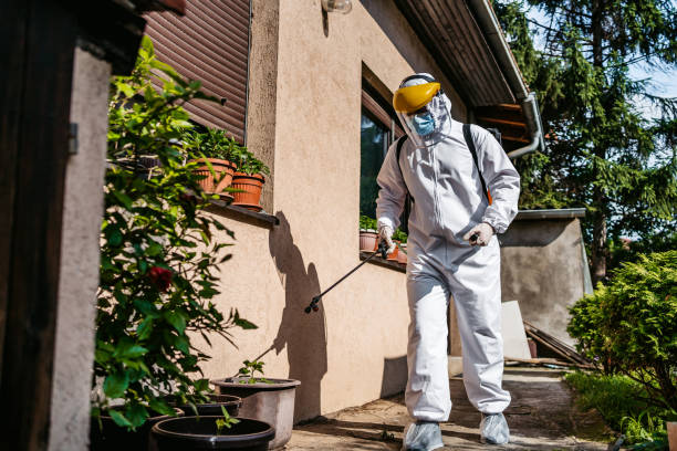 Best Pest Control for Homes  in Port Labelle, FL