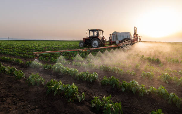 Best Commercial Pest Control Services  in Port Labelle, FL