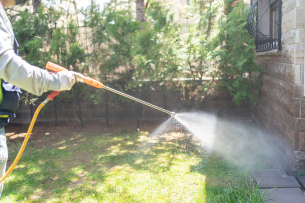 Best Wasp Removal Services  in Port Labelle, FL