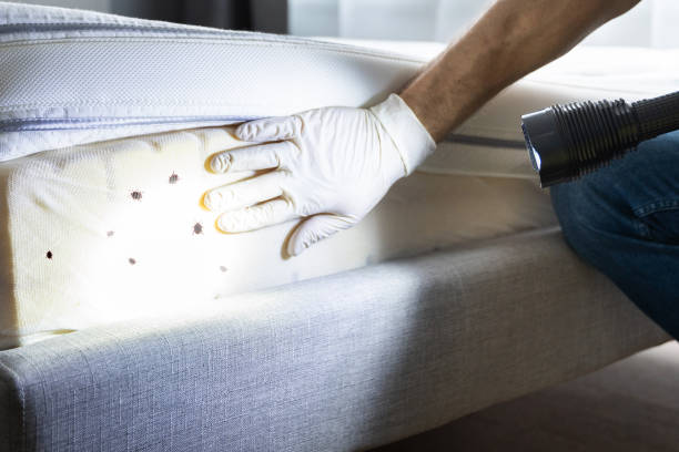 Best Best Pest Control Companies  in Port Labelle, FL