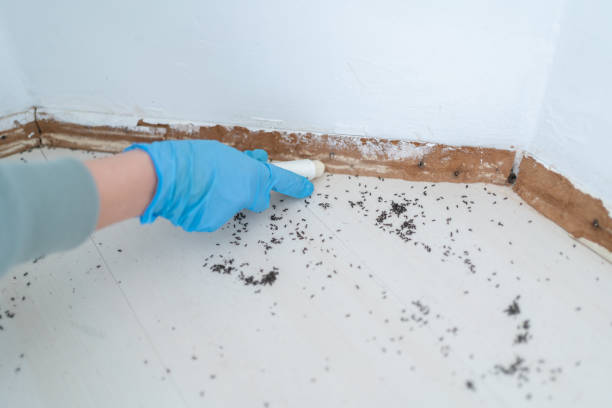 Wildlife Control Services in Port Labelle, FL